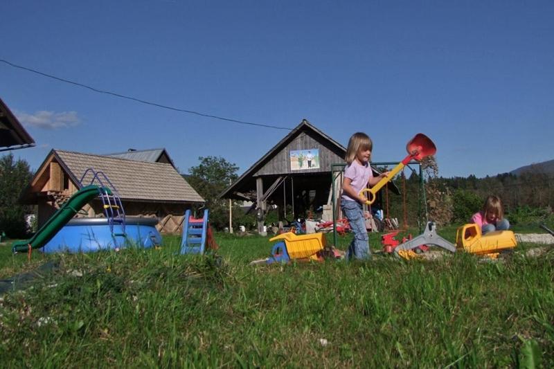Farmhouse Soklic ボーヒニ エクステリア 写真