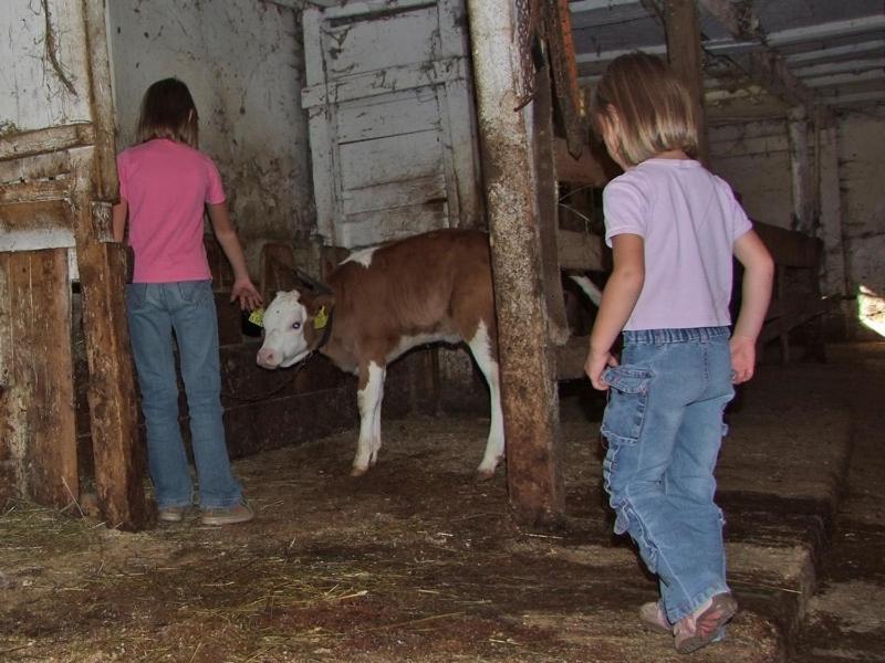 Farmhouse Soklic ボーヒニ エクステリア 写真