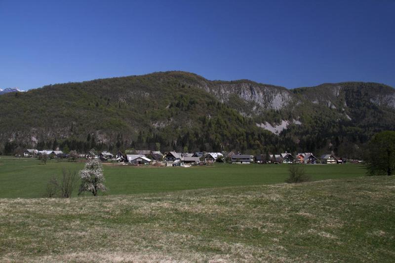 Farmhouse Soklic ボーヒニ エクステリア 写真